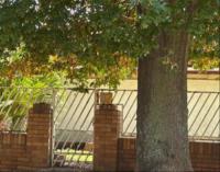 Front View of property in Forest Hill - JHB