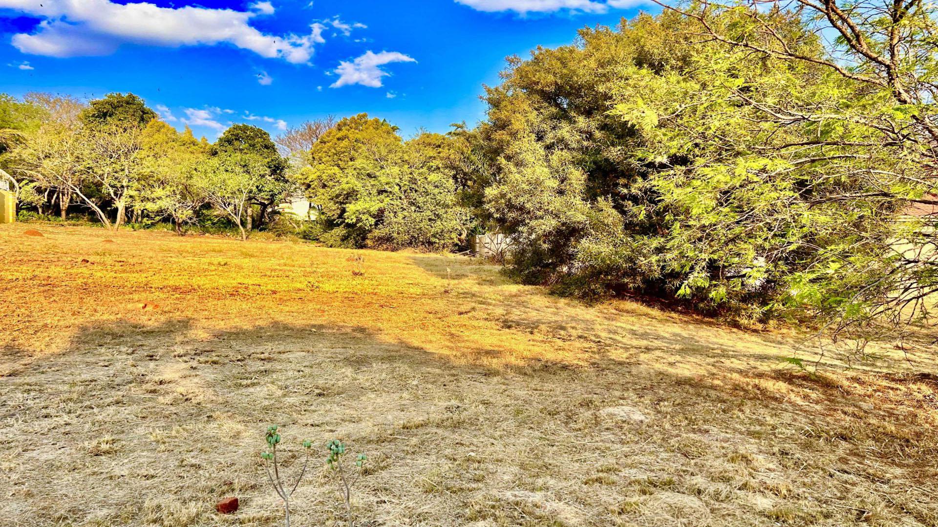 Spaces of property in Kosmos Ridge