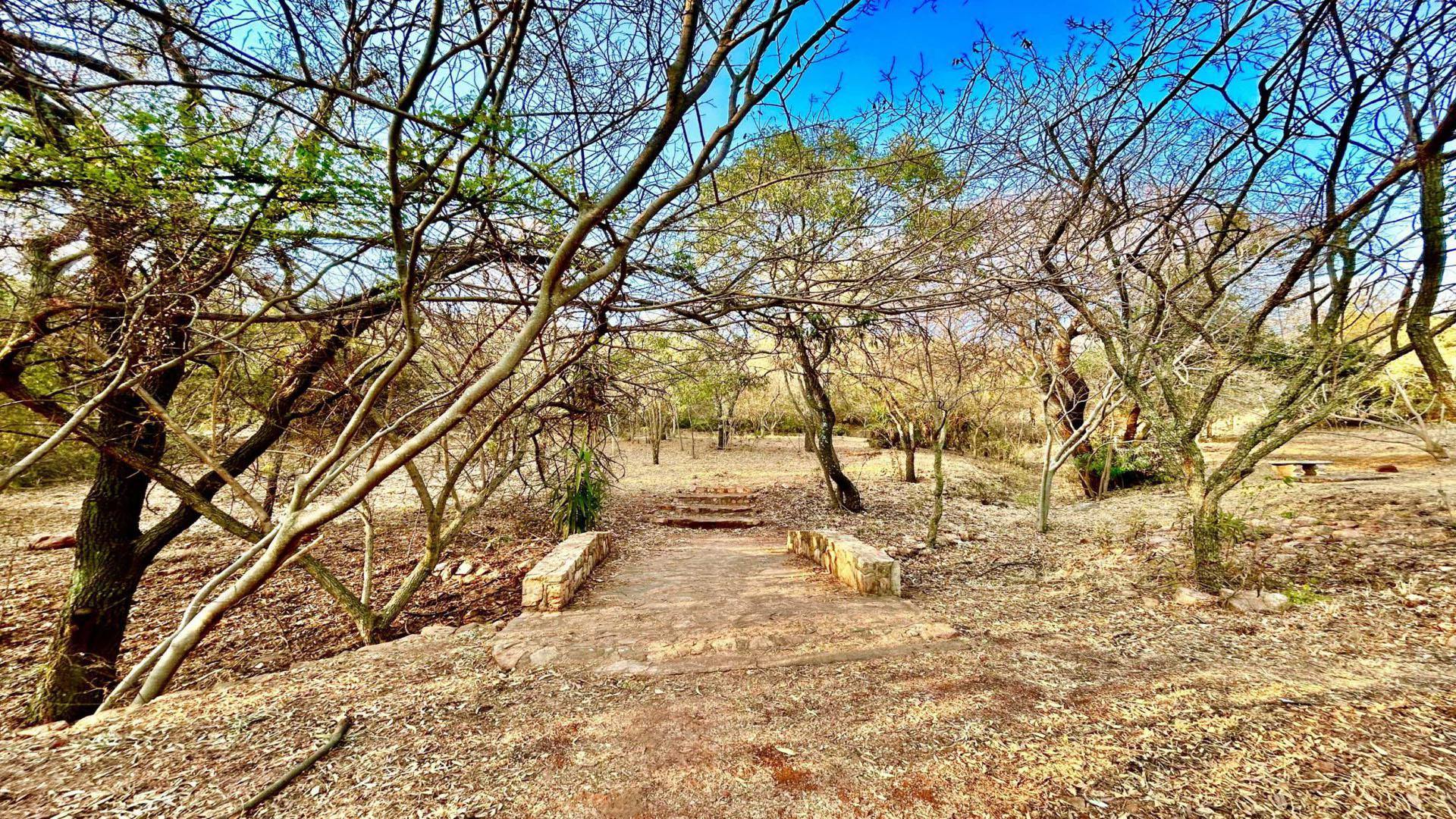 Spaces of property in Kosmos Ridge