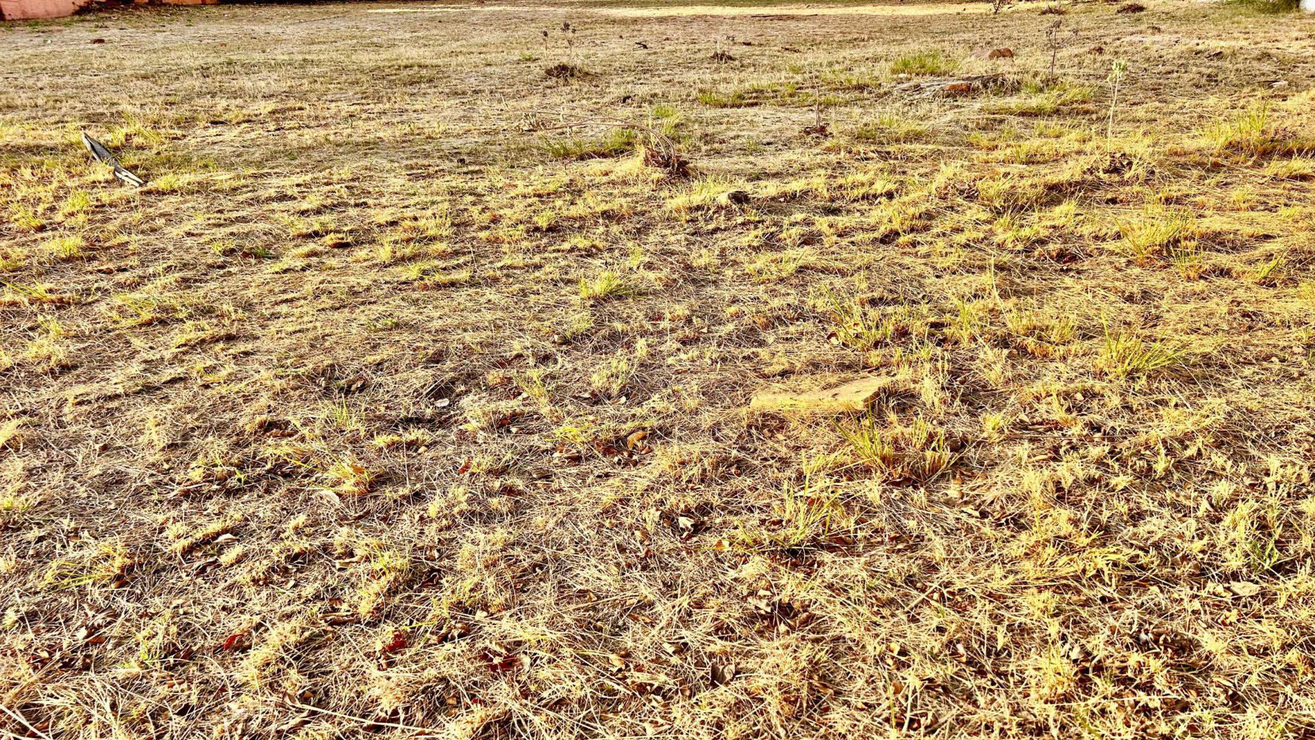 Spaces of property in Kosmos Ridge