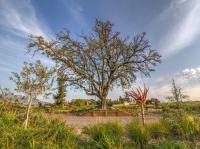  of property in Stellenbosch