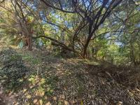  of property in Bazley Beach