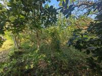  of property in Bazley Beach