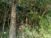  of property in Bazley Beach