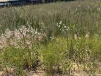  of property in Aerorand - MP