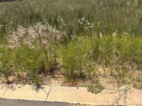  of property in Aerorand - MP