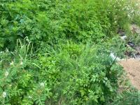  of property in Aerorand - MP