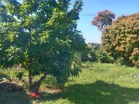  of property in Stanger