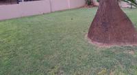  of property in Montana Park