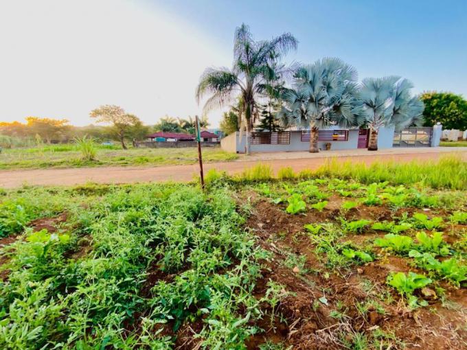 Land for Sale For Sale in Thohoyandou - MR684174