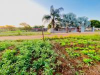  of property in Thohoyandou
