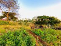  of property in Thohoyandou