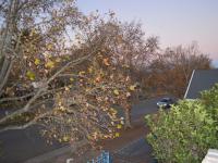 of property in Queenstown