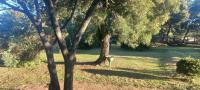  of property in Benoni AH