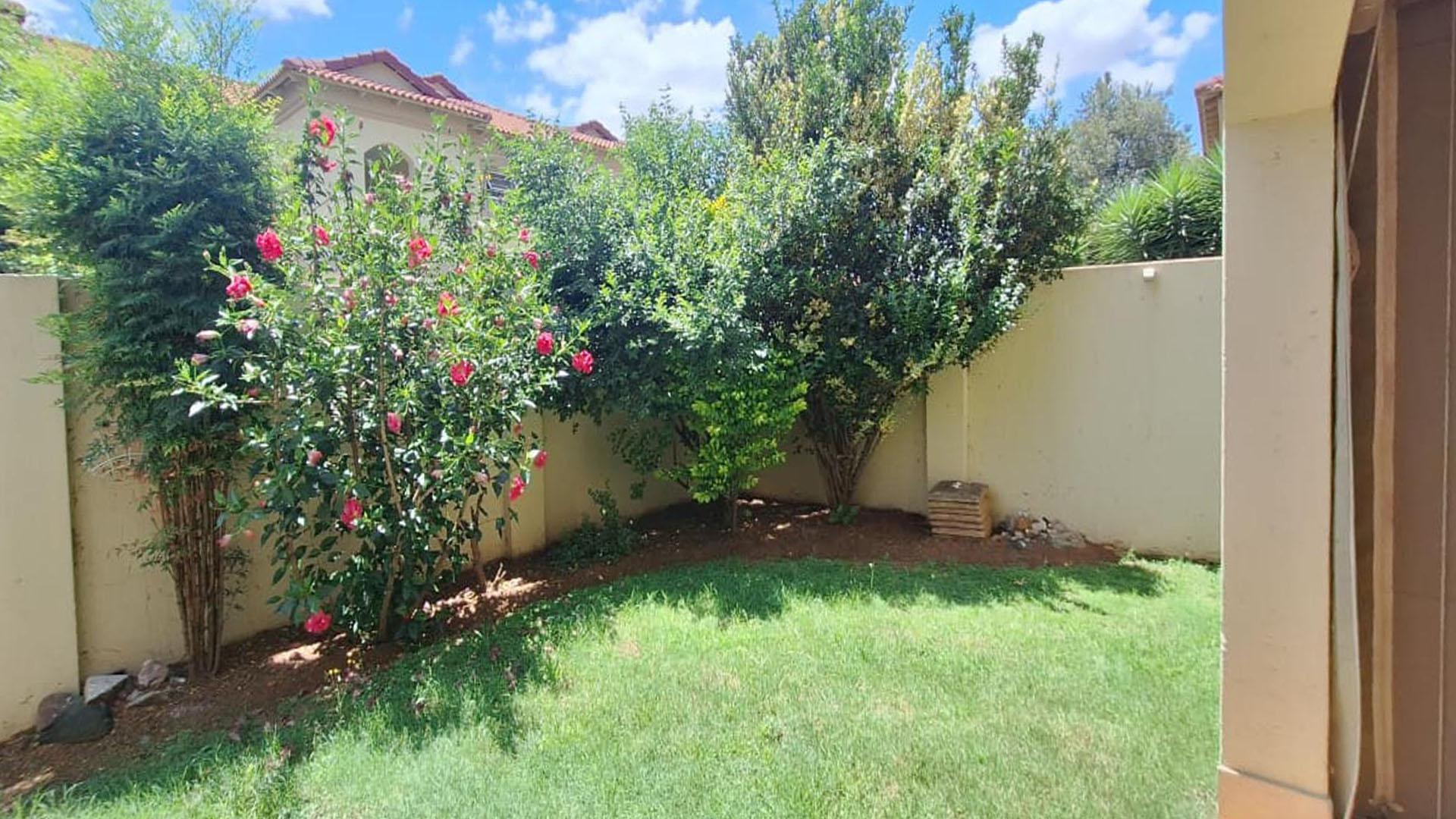 Backyard of property in Morehill