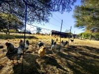  of property in Rustenburg