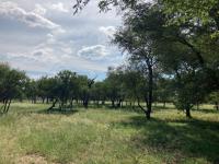  of property in Hoedspruit
