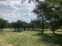  of property in Hoedspruit