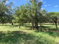  of property in Hoedspruit