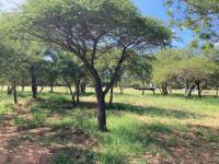  of property in Hoedspruit