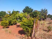  of property in Thohoyandou
