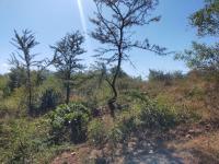  of property in Thohoyandou