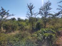  of property in Thohoyandou