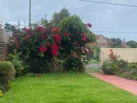  of property in Selborne