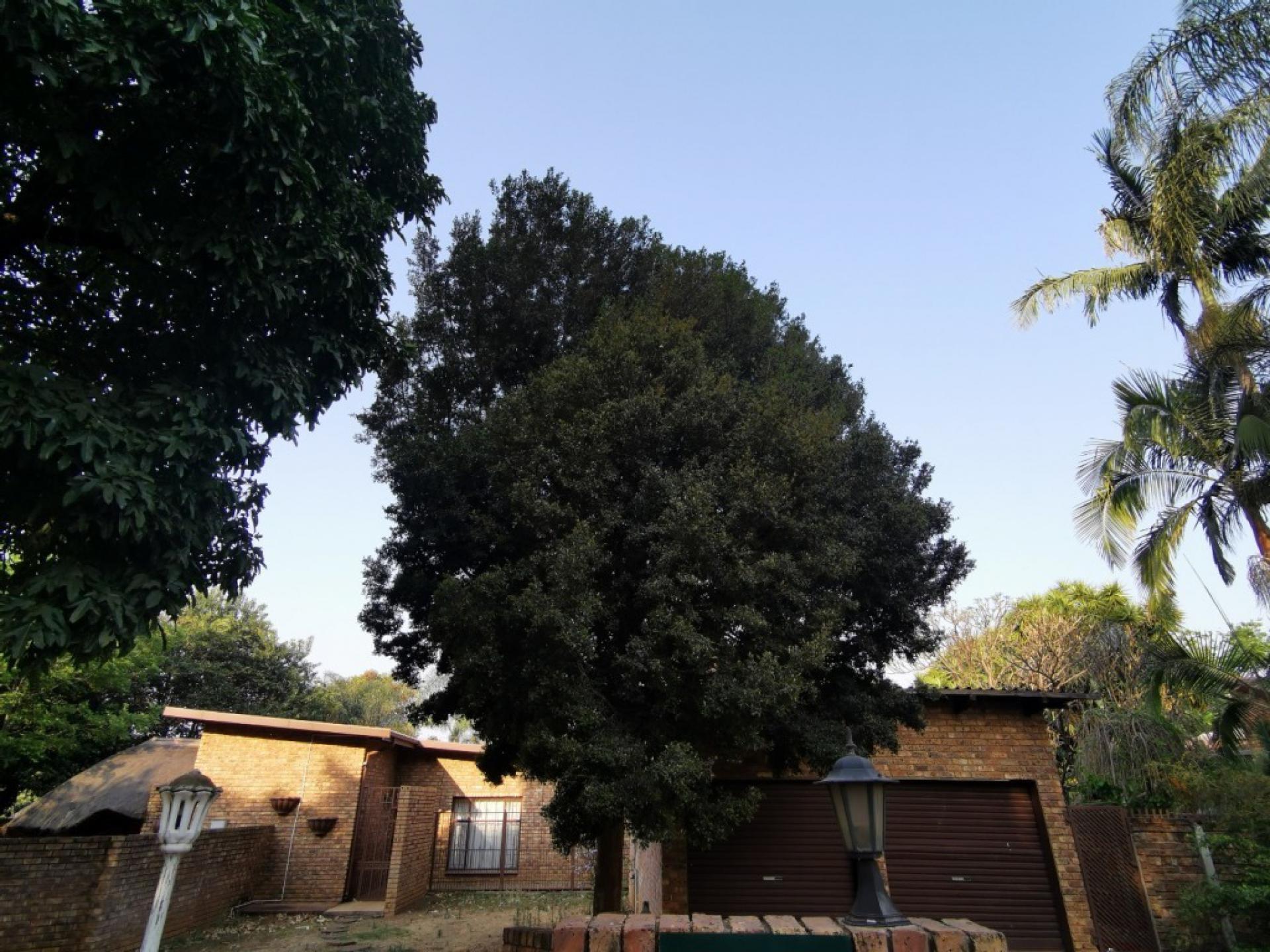  of property in Theresapark