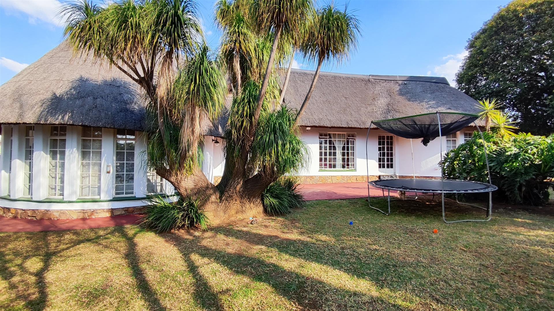 Backyard of property in Randhart