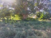  of property in Thohoyandou