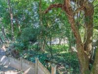  of property in Cowies Hill 
