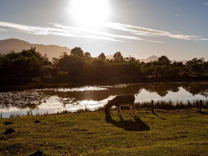 Smallholding for Sale For Sale in Plettenberg Bay - MR685606