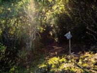  of property in Plettenberg Bay