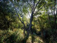  of property in Plettenberg Bay