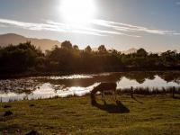  of property in Plettenberg Bay