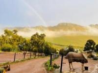  of property in Gordons Bay