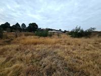  of property in Ohenimuri