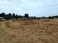  of property in Ohenimuri