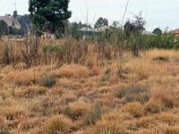  of property in Ohenimuri