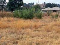  of property in Ohenimuri