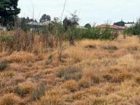  of property in Ohenimuri