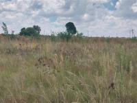  of property in Ennerdale South