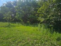  of property in Wigwam