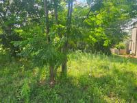  of property in Wigwam