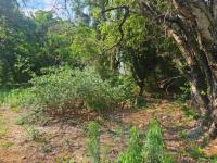  of property in Wigwam