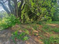  of property in Wigwam