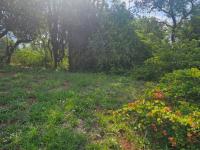  of property in Wigwam