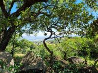 of property in Sonheuwel