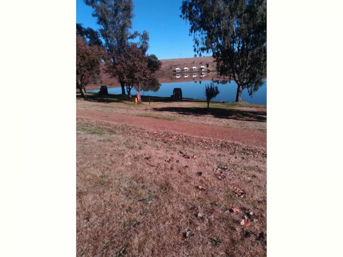 Smallholding for Sale For Sale in Balfour - MR685908